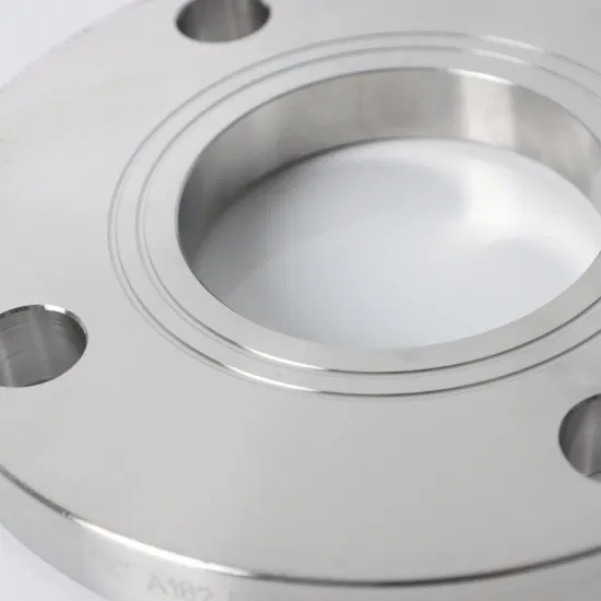 JIS Standard DN25 10K SS304 Stainless Steel Plate Flange